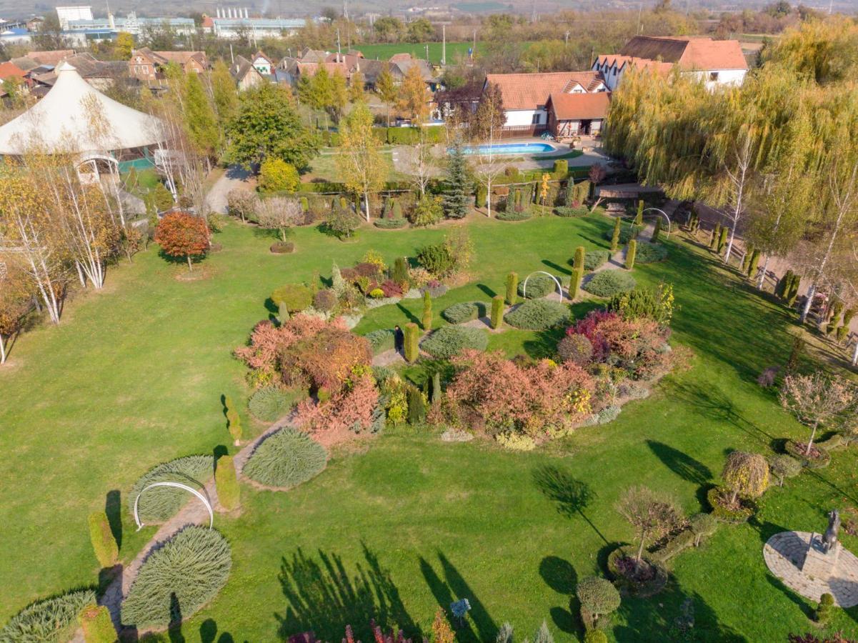Hotel Domeniul Dracula Daneş Exteriér fotografie