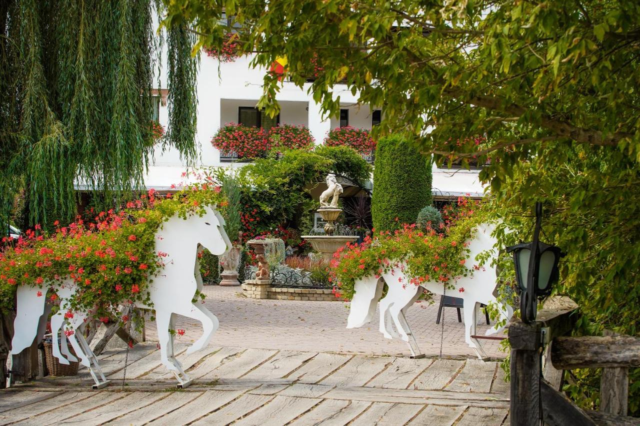 Hotel Domeniul Dracula Daneş Exteriér fotografie