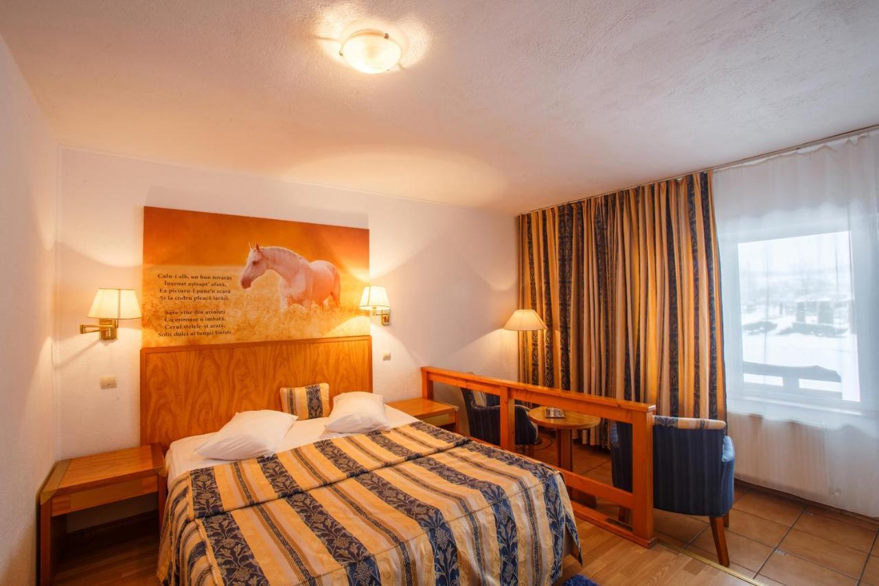 Hotel Domeniul Dracula Daneş Exteriér fotografie