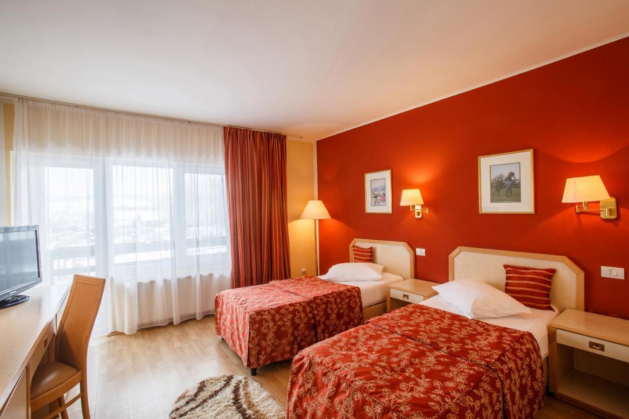 Hotel Domeniul Dracula Daneş Exteriér fotografie