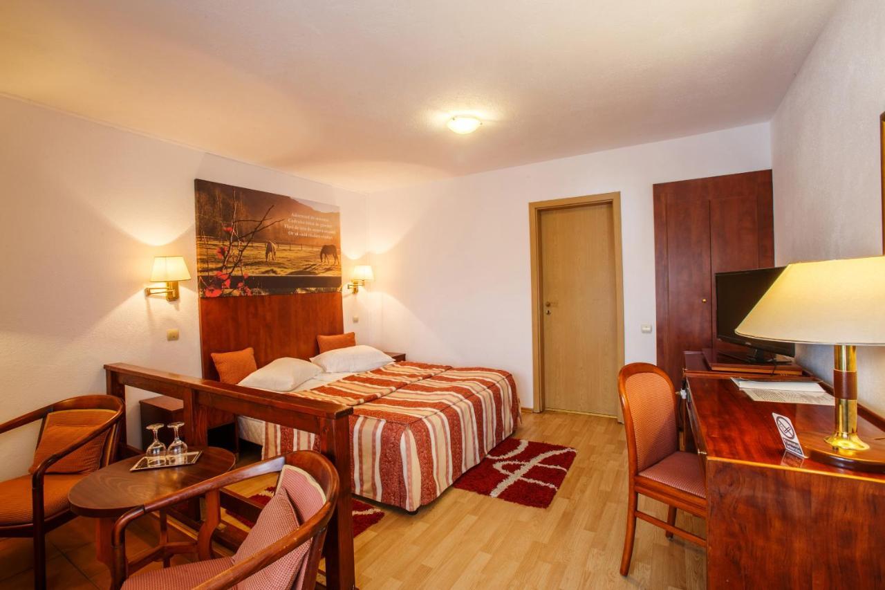 Hotel Domeniul Dracula Daneş Exteriér fotografie