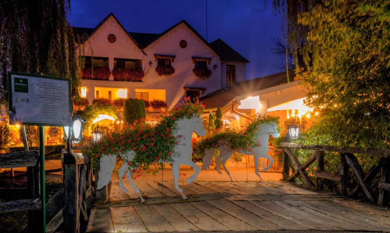 Hotel Domeniul Dracula Daneş Exteriér fotografie