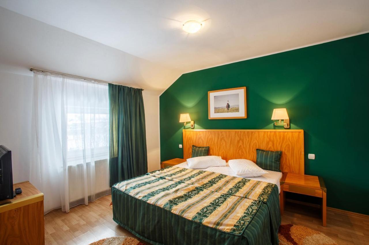 Hotel Domeniul Dracula Daneş Exteriér fotografie