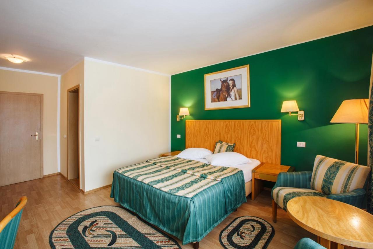 Hotel Domeniul Dracula Daneş Exteriér fotografie