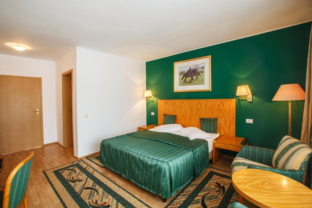 Hotel Domeniul Dracula Daneş Exteriér fotografie
